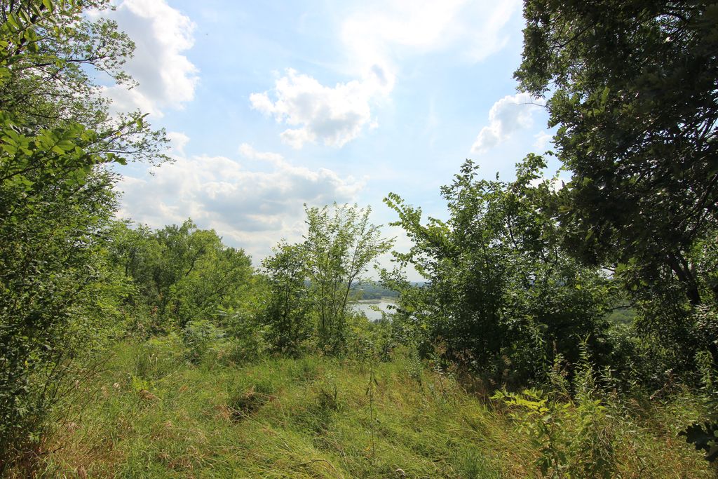 Prairie restoration at Cherokee Park.